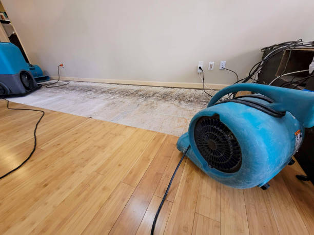 Professional Water Damage Repair technician working in Meridian, TX